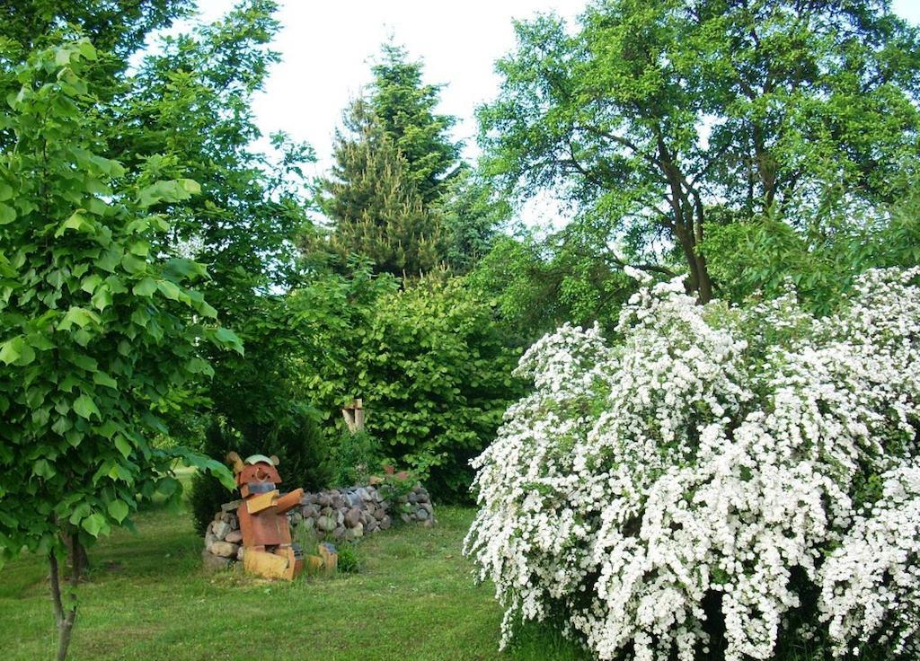 Ferienwohnung Marienkaefer Wulkow  Bagian luar foto